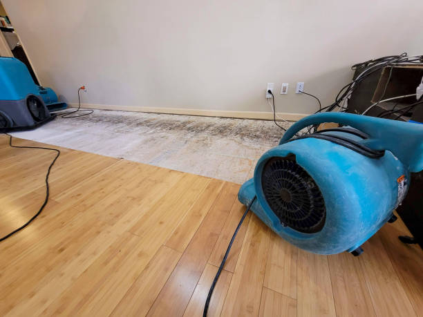 Professional Structural Drying technician working in Cutchogue, NY